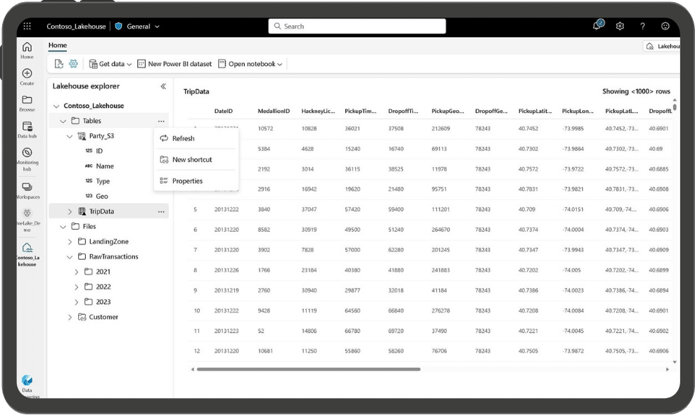 Microsoft Fabric