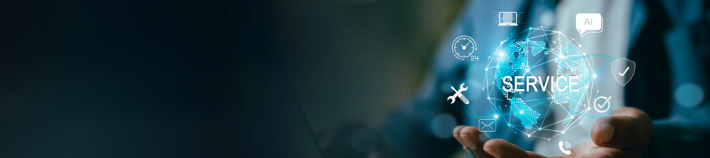 politische Organisation