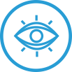 Vision icon